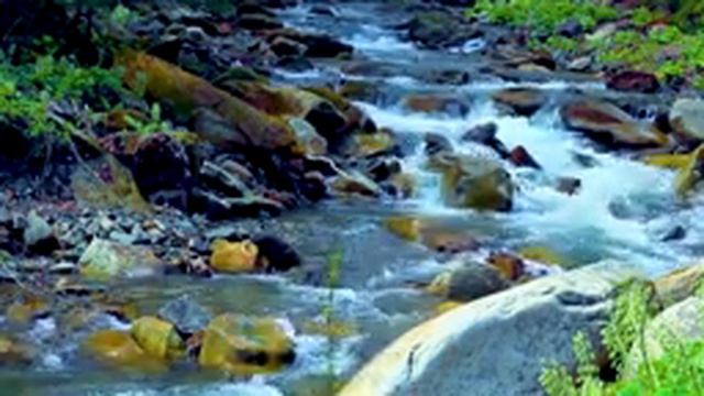 Красивый звук реки и леса для сна и релаксации смотреть онлайн