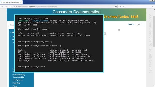 Cassandra November 2021 Update смотреть онлайн