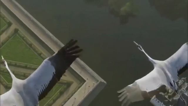 Песня Журавли в исполнении С.Чекалина. смотреть онлайн