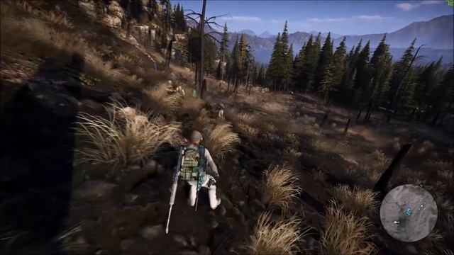 Ghost Recon: Wildlands - ПАСХАЛКИ И СЕКРЕТЫ: АССАСИН, DARK SOULS, СЕКРЕТНЫЕ КНОПКИ... смотреть онлайн