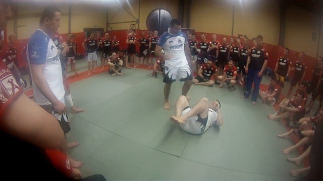 mauricio shogun rua face stomp kick смотреть онлайн