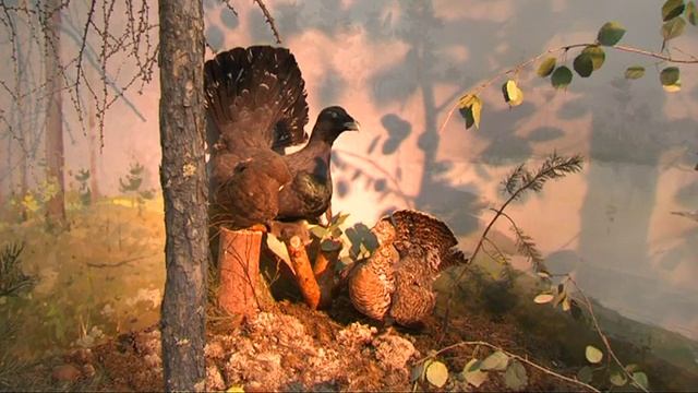 Выставка хантыйского быта смотреть онлайн