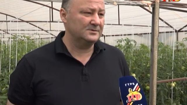 Плодородные земли Знаурского района и отличные природные условия. Фермеры довольны богатым урожаем смотреть онлайн