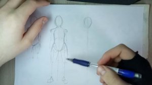 Пропорции тела человека. Как выучить пропорции аниме тела девушки. Как рисовать аниме с нуля #6