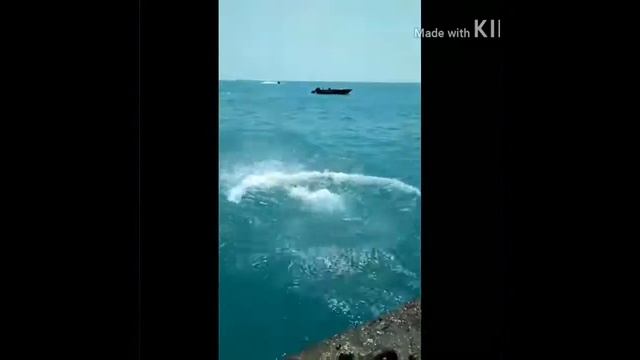 Прыжки в воду | Абхазия 2017 смотреть онлайн