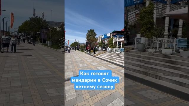 КАК ГОТОВЯТ МАНДАРИН В СОЧИ / К ЛЕТНЕМУ СЕЗОНУ #shorts смотреть онлайн