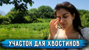 ЭКСКЛЮЗИВ. Показываю будущий УЧАСТОК для Животных. Остается мало времени, а всей суммы еще нет.