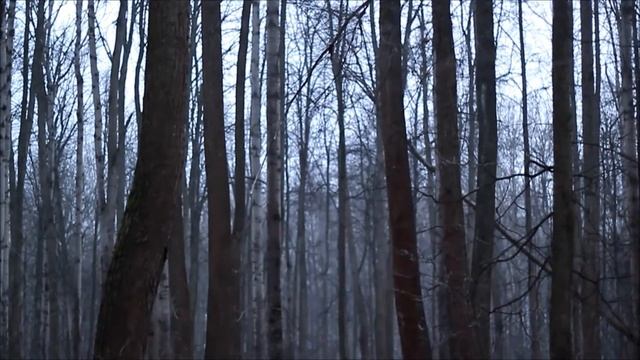 "Спящая красавица"... другой взгляд смотреть онлайн