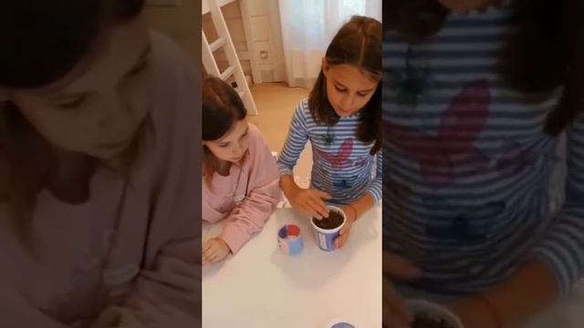 Веселая посадка лаванды