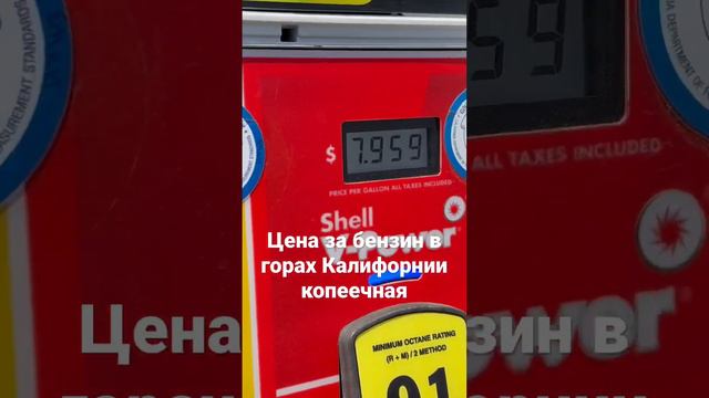 Бензин стоит копейки в горах калифорнии #travel #влог #car #gas #fuel #бензин #ценынабензин смотреть онлайн