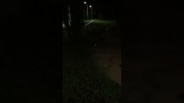 Архипо-Осиповка вечер 25 декабря 2023 года ? река Вулан ? Видео из группы Telegram смотреть онлайн