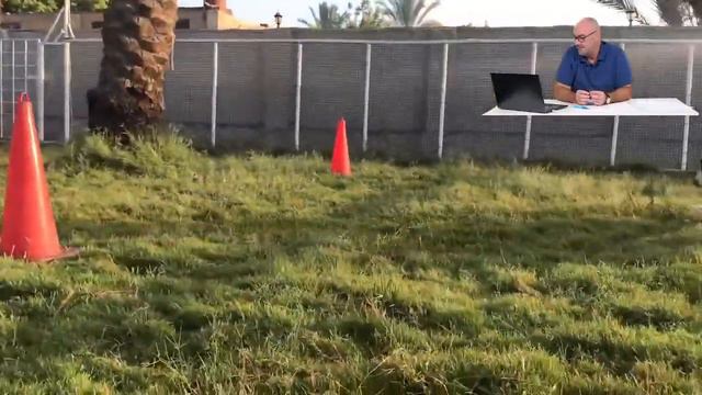 Прямая трансляция BRD-ONLINE ЛЕТО 2021 BEST IN SHOW AND BEST IN SHOW JUNIOR смотреть онлайн