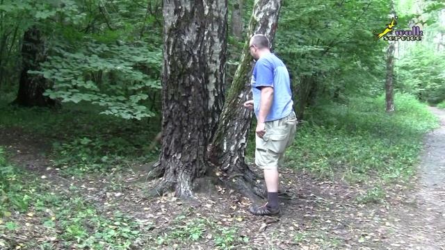 Дрессировка собак, как научить щенка, команда голос смотреть онлайн