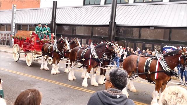 Budweiser Clydesdales at World's Fair Park 12 5 2021 смотреть онлайн