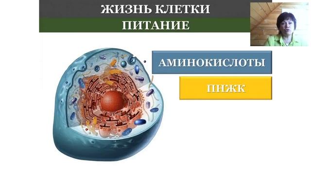 Естественный отбор природы часть 2 я смотреть онлайн