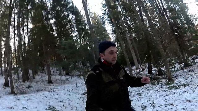 Охота на барсука с фотоловушкой. смотреть онлайн