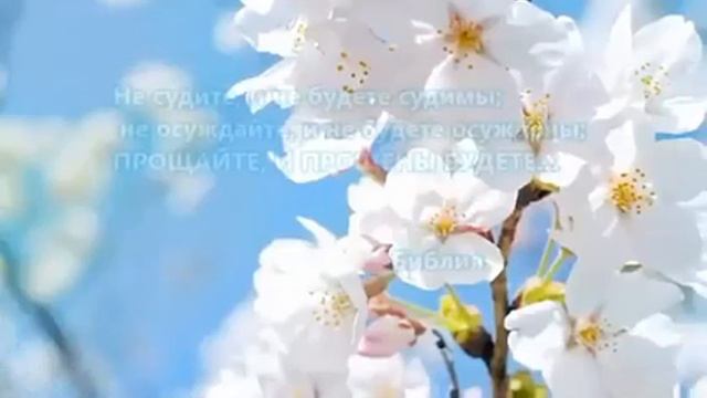 Прощенное воскресенье, поздравление смотреть онлайн