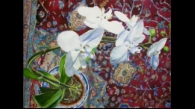 Художница Кэрол Доусон. Натюрморты. смотреть онлайн