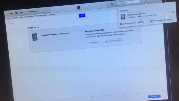 iPad mini A1455 убираем iCloud. iPad mini unlock Icloud hardware