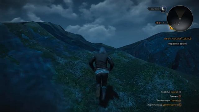 БАГ в Вызиме l ВЕДЬМАК 3 l За пределами дворца