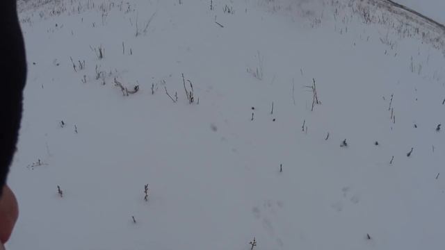 Охота на зайцев - Мастер-Класс! смотреть онлайн