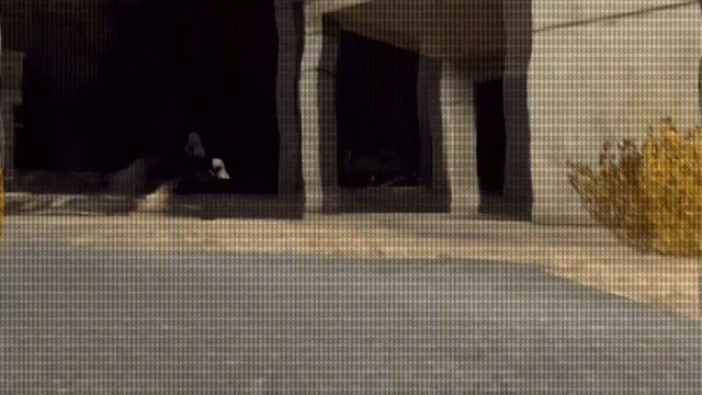 skibidi toilet 63 to 60 in discord but epic смотреть онлайн