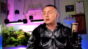 Правильный внешний фильтр для аквариума: наполнение и обслуживание