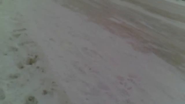 Влог:идём домой! Эвелина забыла телефон/привет-пока смотреть онлайн