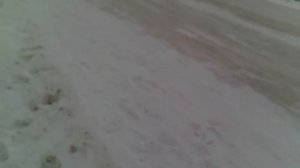 Влог:идём домой! Эвелина забыла телефон/привет-пока