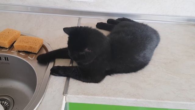 Немного не по теме, но улыбнуть должно смотреть онлайн