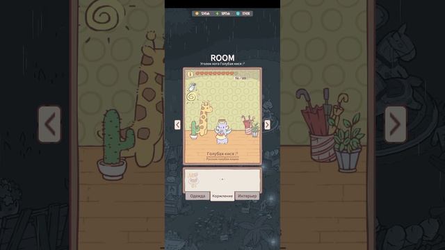 Кошки и суп. Кормим кошечку. Забираем очередной звёздный макарон.