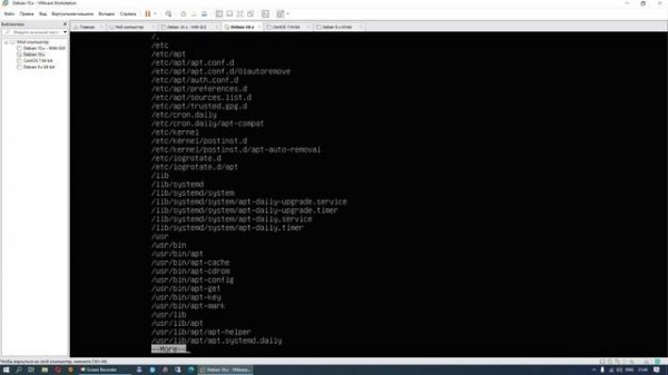 Администрирование Линукс (Linux) - Урок 8 - Работа с пакетами средствами dpkg