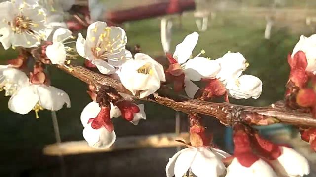 ВЕСНА ПРИШЛА!!!!!!!!!!УРА УРА УРААААА смотреть онлайн