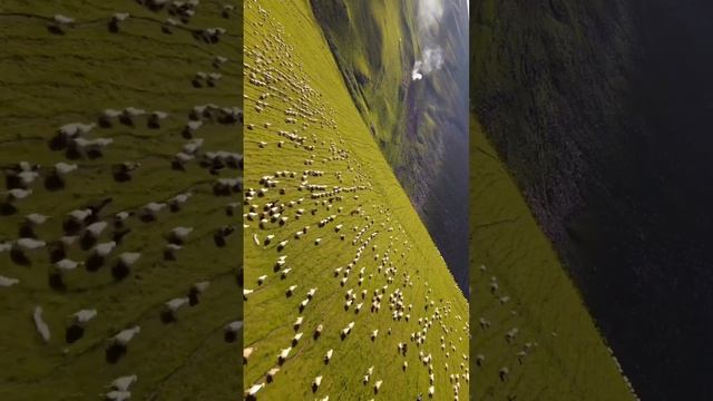 Природные ландшафты, флора и фауна #Грузии невероятно разнообразны. #природа #travel #красота смотреть онлайн