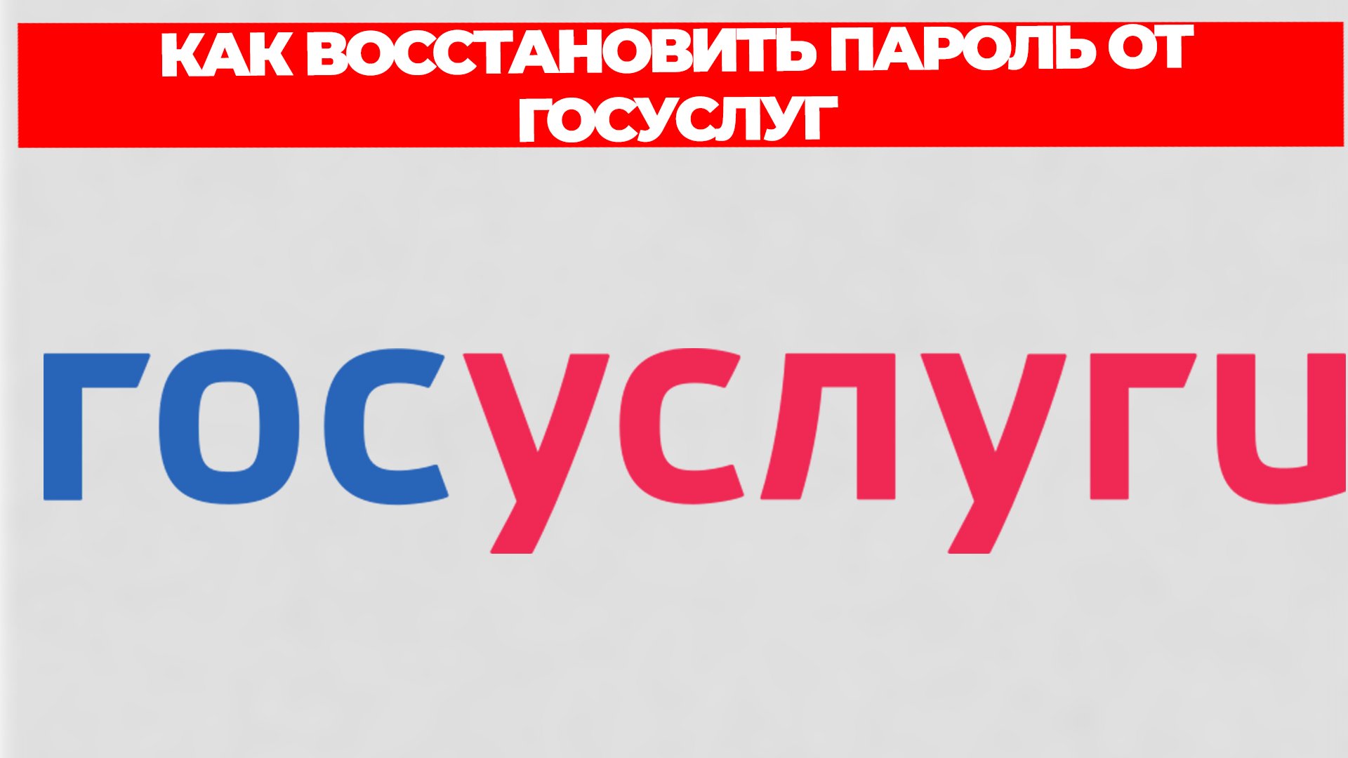 Всезнающий Енот