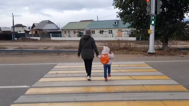 Дружите с правилами дорожного движения смотреть онлайн