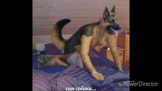 С друзьями бич маза фака факин seiri смотреть онлайн