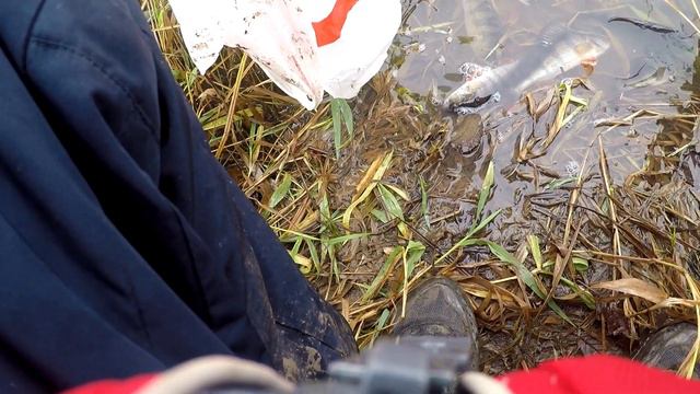 BIG FISHING 2019г смотреть онлайн