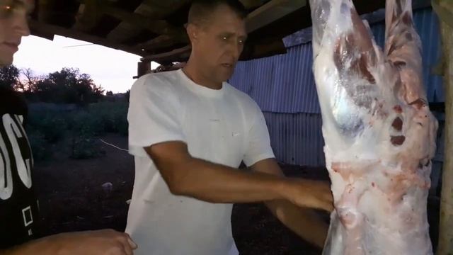 О наших барашках. смотреть онлайн