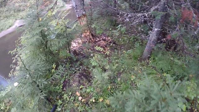 Осенний день на рыбалке