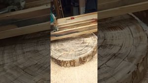 Залил спил дерева эпоксидной смолой.