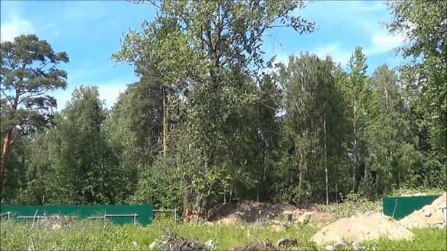 Спил дерева целиком (тополь d-135) www.9973079.moy.su С-Пб и ЛО смотреть онлайн