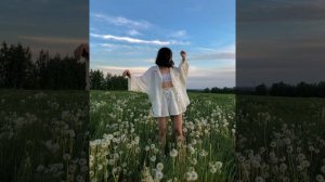 Hi-Fi - Чёрный ворон