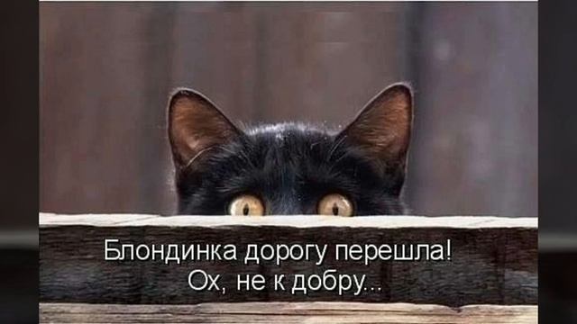 Пятница 13! Весёлая музыкальная открытка! / Friday the 13th! / П'ятниця 13! смотреть онлайн