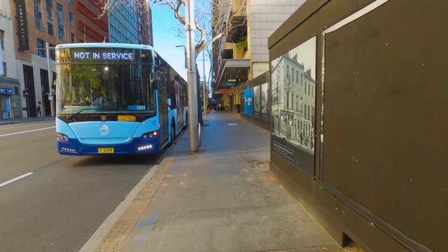 [4K City] Circular Quay to St Mary's Cathedral Walk | Travel From the Comfort of Your Home смотреть онлайн
