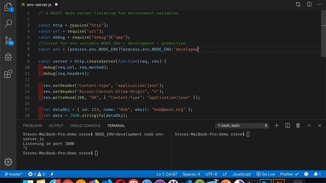 Environment Variables and Node Servers смотреть онлайн
