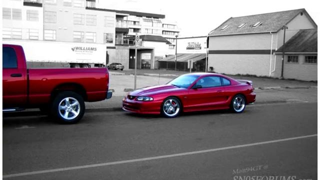 SN95 forums video 2009 смотреть онлайн