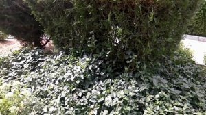 Путешествие в прошлое. Санаторий Чайка в Евпатории.