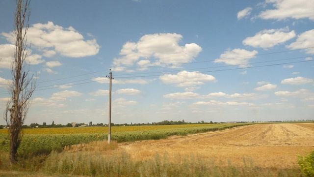 Нива побелевшая стоит – грустная песня смотреть онлайн