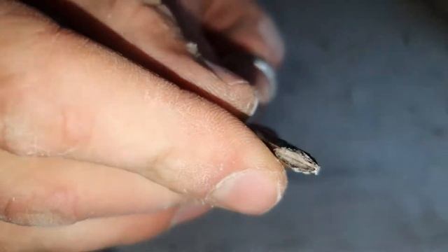 Универсальный многофункциональный мульти-молоток Prime Hammer 6 в 1 смотреть онлайн